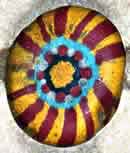 Exhibit Beads