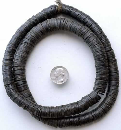 Palm Nut